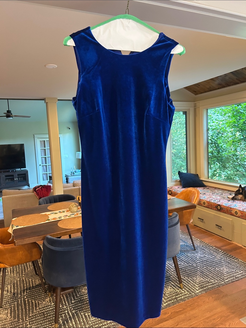 Calvin Klein Size 4 Classic Sleeveless Velvet Sheath Dress in Royal Blue